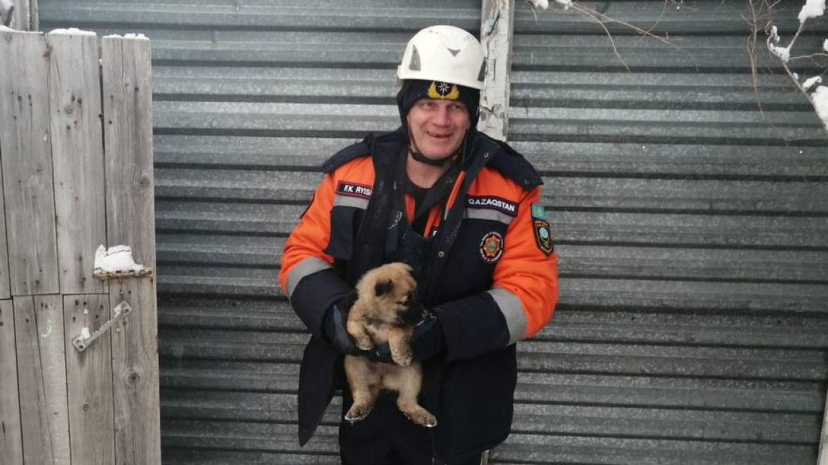 Усть-Каменогорские спасатели вызволили из плена милого щенка