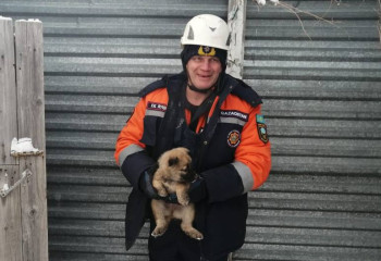 Усть-Каменогорские спасатели вызволили из плена милого щенка