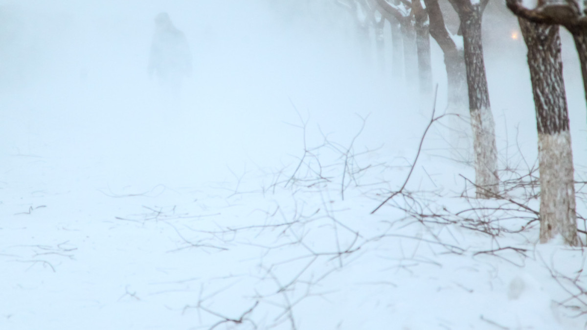 5 человек спасли из снежного заноса в области Жетысу