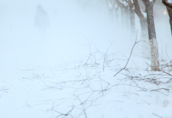 5 человек спасли из снежного заноса в области Жетысу