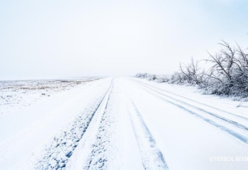Еліміздің 11 облысында жол жабылды