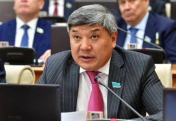 «Кеген, Нарынқол және Ұйғыр аудандарындағы елдің жанайқайы». Мәжілісмен жол мәселесін көтерді