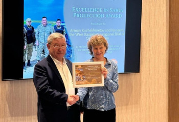 Saiga Conservation Alliance in Samarkand noted Kazakhstan's significant role in restoring the saiga population