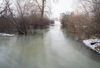 Ертіс өзені арнасынан тасып, су басу қаупі төнді