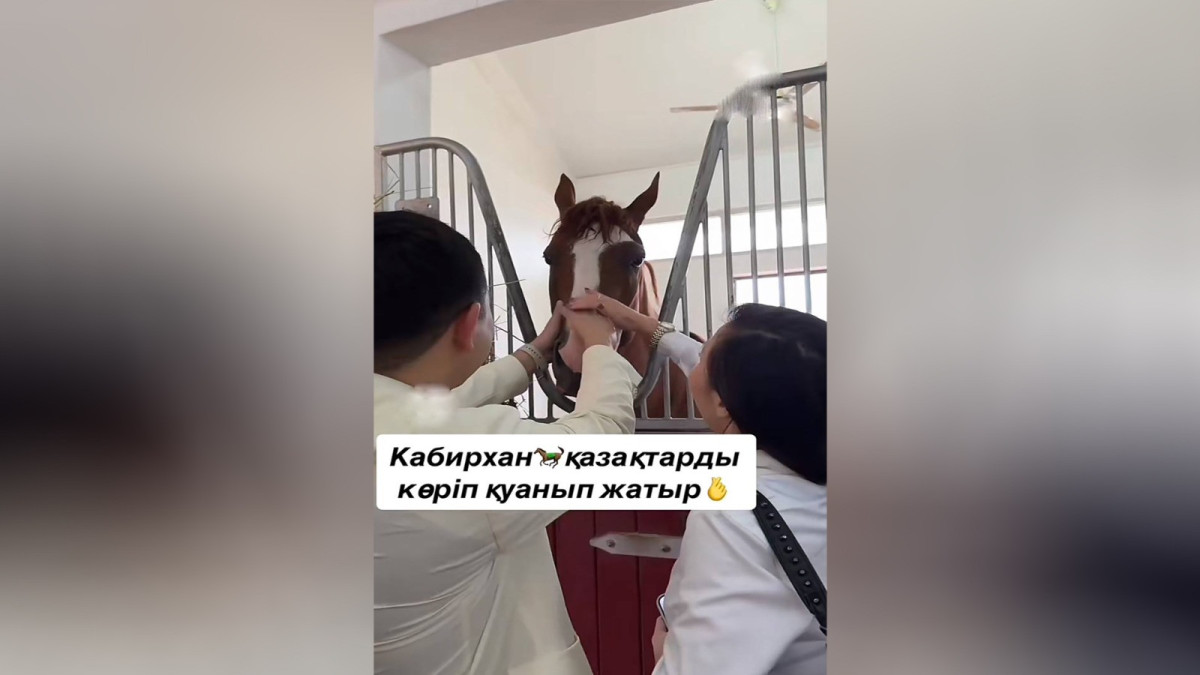  Кадр из видео 