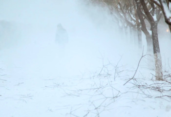 Боранда жолда қалып қойған жүкті әйел мен 2 бүлдіршін құтқарылды
