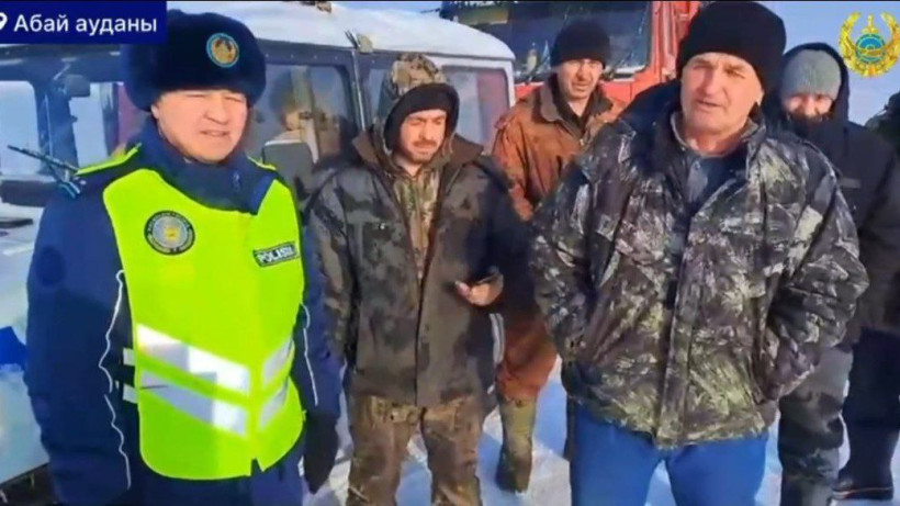  Видеодан кадр 