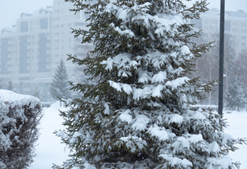 Елімізде ауа райы күрт суытып 39 градус аяз болады