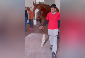 «Второй Головкин». Кабирхан готовится к чемпионату мира