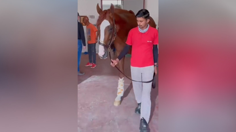  Сриншот видео 