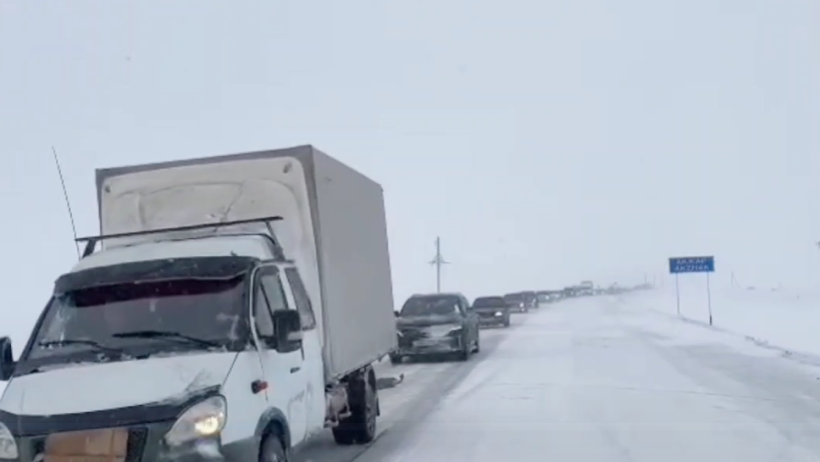  Видеодан кадр 