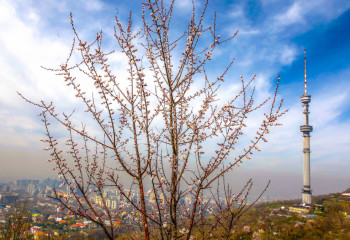 Алматының жер сілкінісіне төзімділігі қандай деңгейде екені белгілі болды
