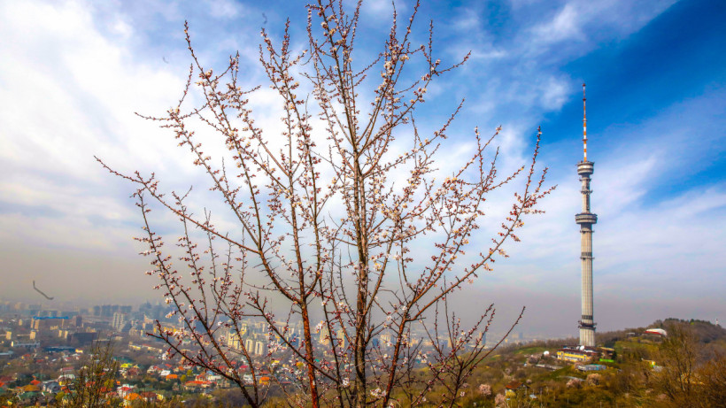  ©El.kz/Александр ПАВСКИЙ 