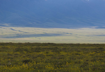 Мужчина заблудился в степи в мороз ночью и едва не погиб в Павлодарской области