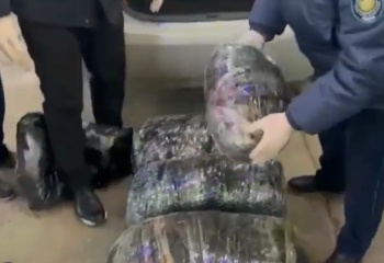 У двух братьев на трассе Шымкент-Жетысай изъяли более 65 кг марихуаны