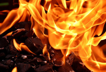 Алматыда гүл дүкені өртке оранды