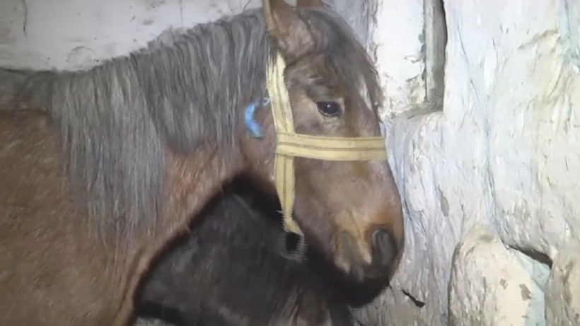  Видеодан кадр 