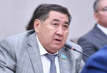 Отбасындағы әкенің рөлін көтеру үшін «Отағасы» туралы заң керек – Бәпи