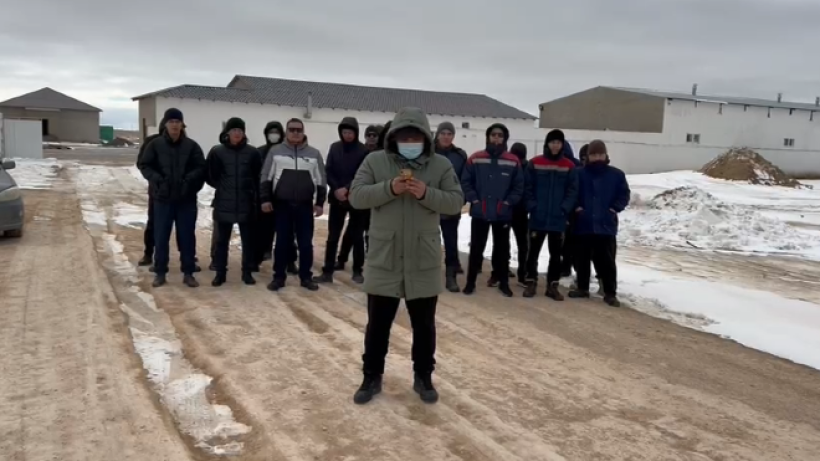  кадр из видео 