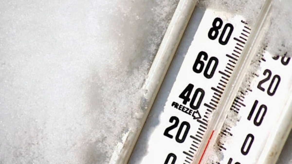 -55°C: «Семей орманында» ең төменгі температура тіркелді