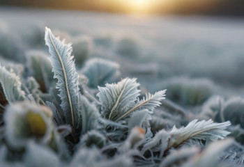 -40 градус аяз. 22 ақпанға арналған ауа райы болжамы