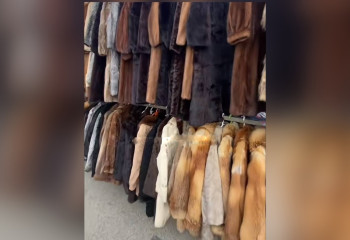 Норковые шубы по 50 Евро продают в феврале в Испании