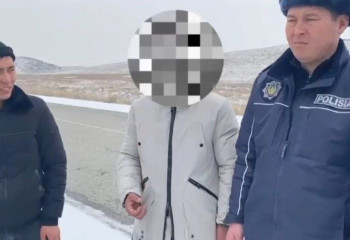 Жамбылда жайылымнан жылқы ұрлап, оны сойып сатқандар ұсталды