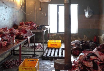 «Өлген мал, кеміргіштер...». Шымкентте ет қоймасы адам шошырлық жағдайда жұмыс істеген