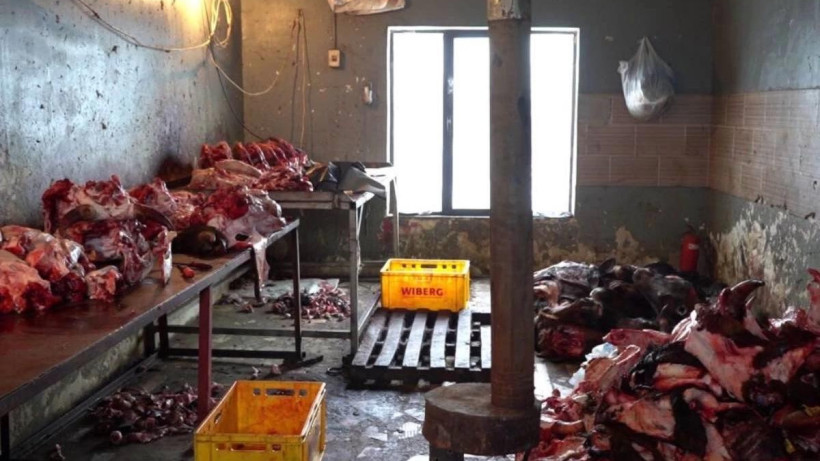  Видеодан алынған кадр 