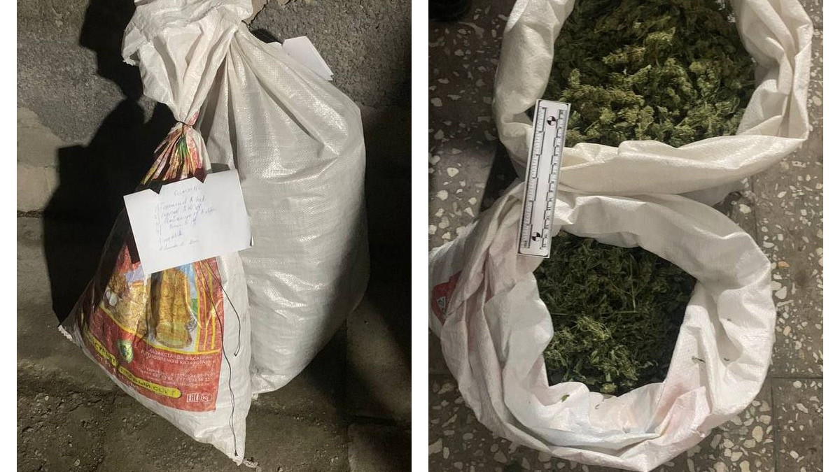 Индийскую марихуану ценой в 10 млн тенге изъяли у жителя Жамбылской области