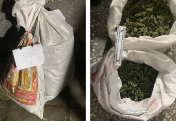 Индийскую марихуану ценой в 10 млн тенге изъяли у жителя Жамбылской области