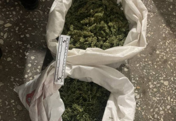 Жамбылда құны 10 млн теңге болатын үнді марихуанасы тәркіленді