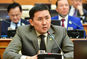 Көп сынға ұшыраған мемлекеттік сатып алу туралы заң  күзге дейін қабылданады