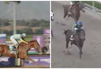 Какие скакуны противостоят Кабирхану на World cup в Дубае