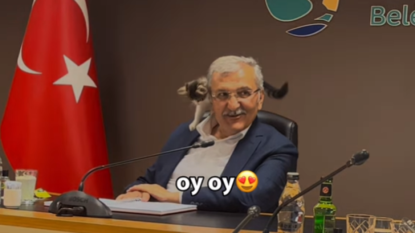  Кадр из видео 