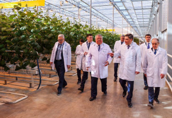 Head of Government instructs to strengthen measures to saturate market with domestic agricultural products