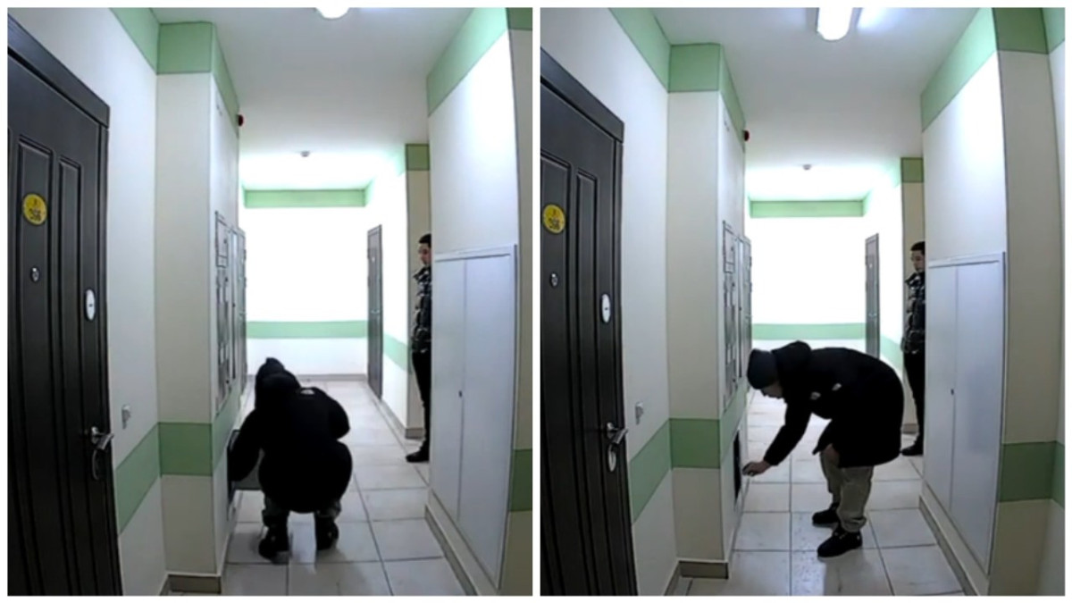  Коллаж El.kz 