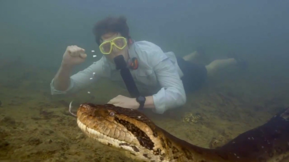  Кадр из видео 