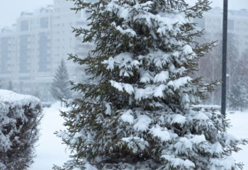 В ряде регионов Казахстана объявлено штормовое предупреждение