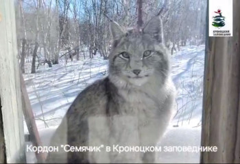 Необычная гостья удивила государственного инспектора заповедника