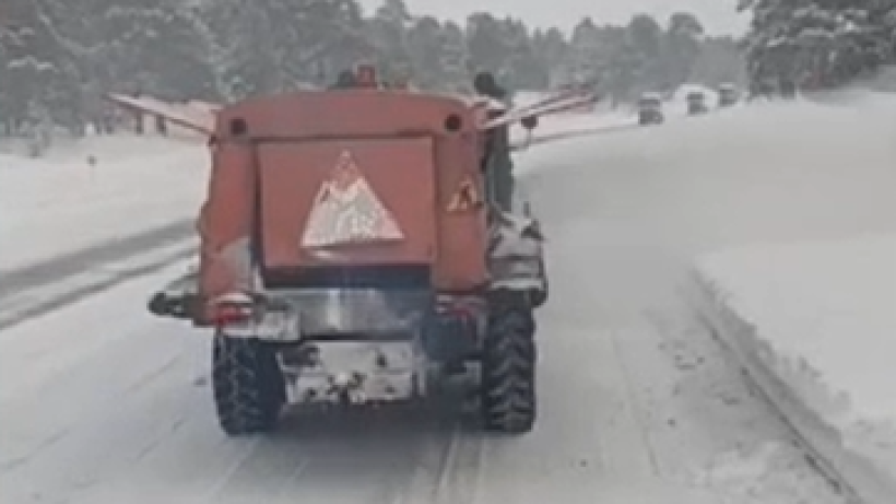  Видеодан кадр 