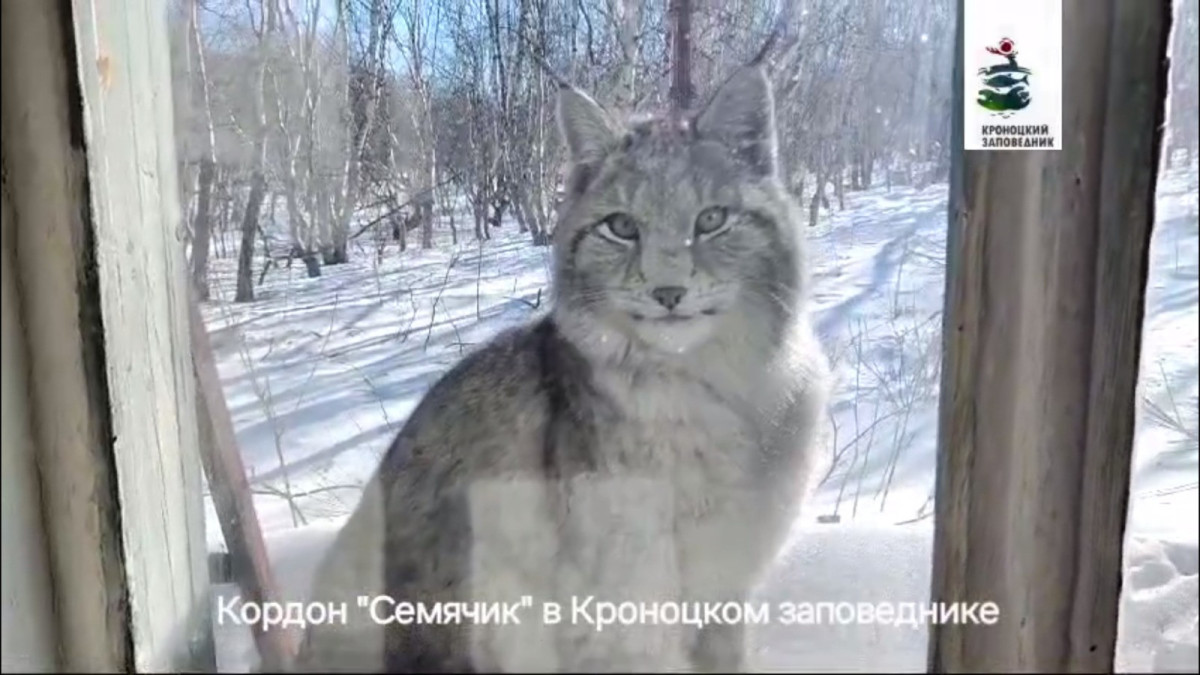  Кадр из видео 