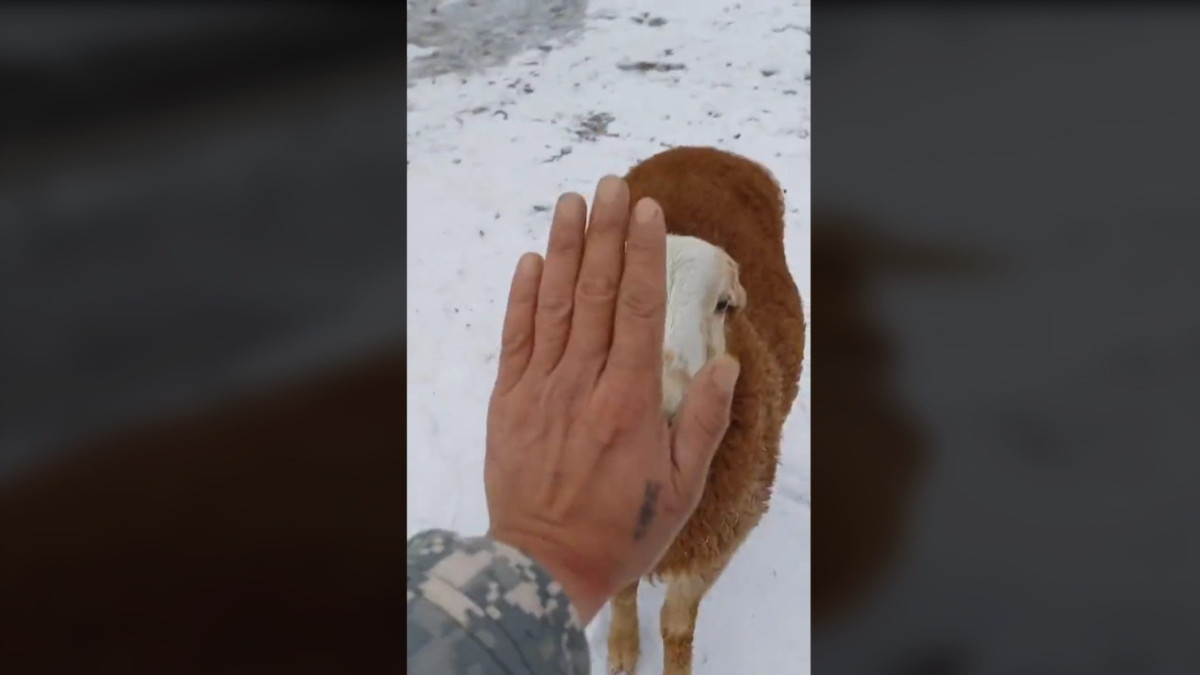  Кадр из видео 