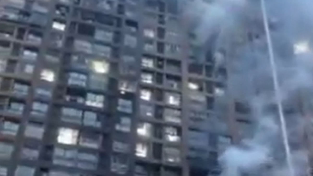  Видеодан алынған кадр 