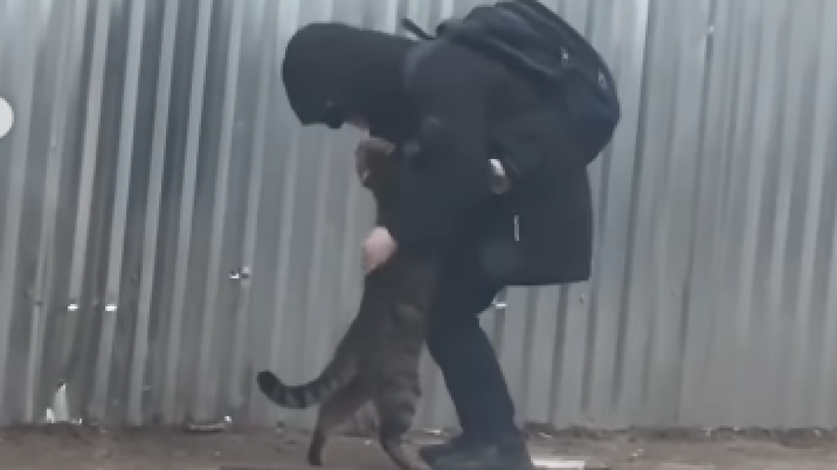 В Атырау на видео попала трогательная встреча мальчика и кота