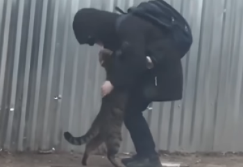 В Атырау на видео попала трогательная встреча мальчика и кота