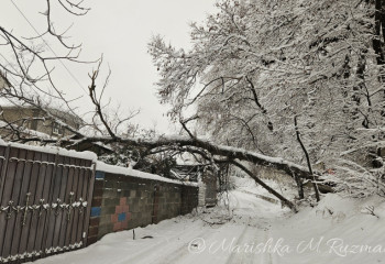 Очередной афтершок зафиксировали в Алматы