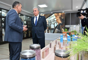 Токаеву продемонстрировали новые гибриды растений в элитно-семеноводческом хозяйстве ВКО