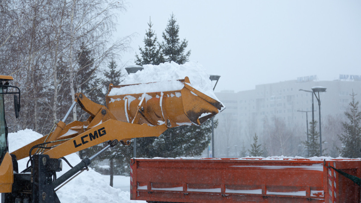  ©El.kz/Жалғасбек ТОҚТАМЫСОВ 