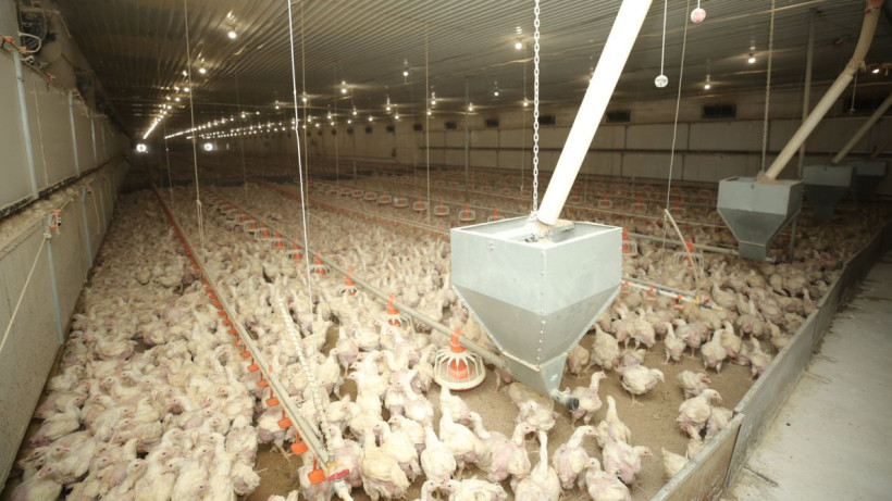  Маңғыстау облыстық қоғамдық коммуникация қызметі 